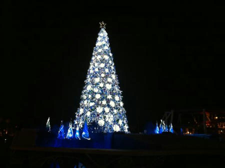 IMG_1652.jpg