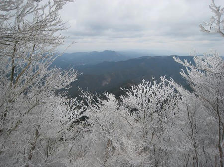 IMG_0052.jpg