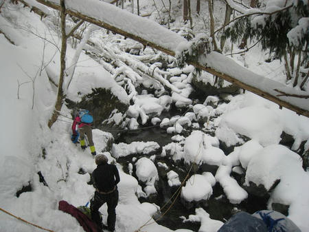 3748201_1519011537_44large.jpg