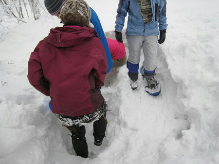 3748201_1519011525_249large.jpg