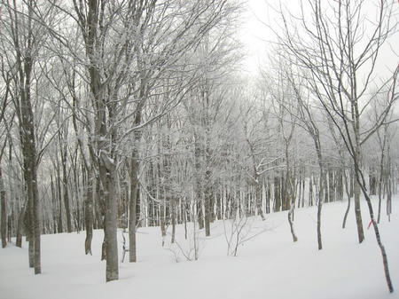 IMG_0004b.jpg