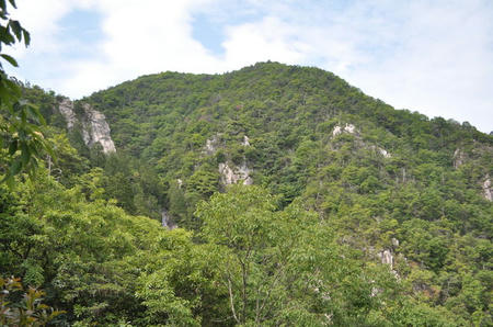 3748201_1662555644_116large.jpg