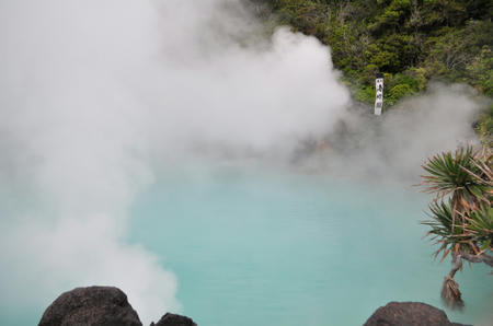 DSC_0564.jpg