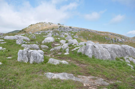 DSC_0590.jpg