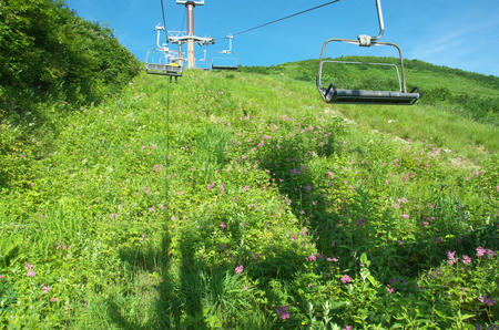 DSC_2993.jpg