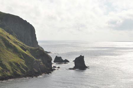 DSC_0190.jpg