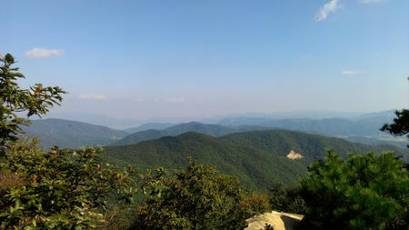 IMAG0498.jpg