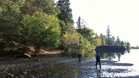 IMAG0503.jpg