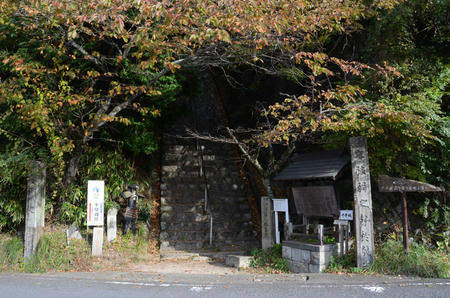 DSC_3927.jpg