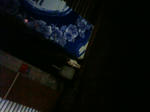 TS3D0595.JPG