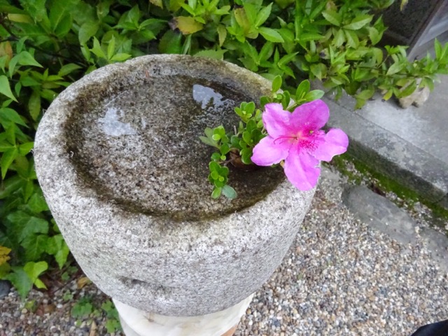 璉珹寺の庭