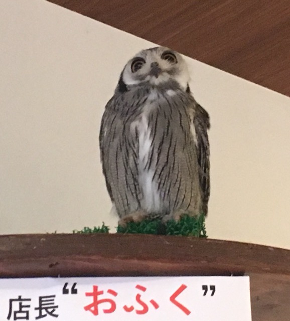 店長おふく