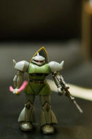 IMGP2543.jpg
