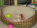 IMG_1155.JPG
