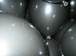 IMG_1252.JPG