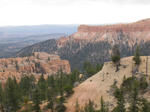 IMG_1382.JPG