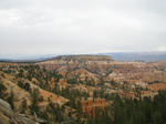 IMG_1389.JPG