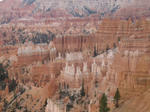 IMG_1417.JPG