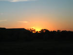 IMG_1529.JPG