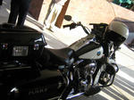 IMG_1576.JPG