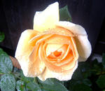 30248d59.jpg