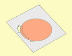 hamu2.jpg