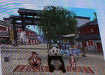 pannda1.jpg