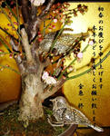 11-ume1.jpg