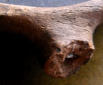 11-houroku2.jpg