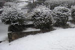 11-yuki3.jpg