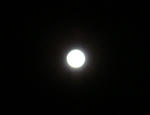 11-tukiakari1.jpg