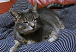 11-b36.jpg