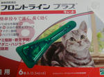 12-neko48.jpg