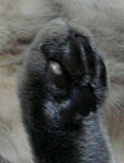 12-neko53.jpg