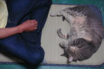 12-neko79.jpg