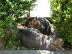 12-neko82.jpg