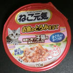 12-koneko57.jpg