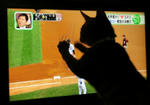 12-0neko46.jpg