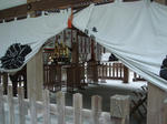 B31.jpg