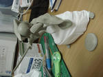 DSC00982.JPG