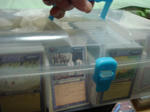 DSC01005.JPG