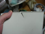 DSC01294.JPG