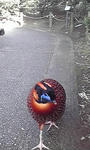 10-02-24_004.jpg