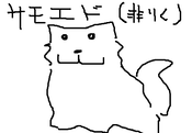 fimg_81203984064.png