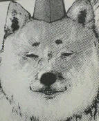 NEC_0043.JPG