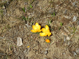 DSCN1619.jpg