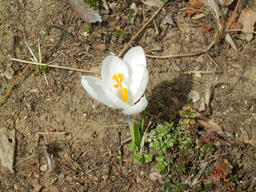 DSCN1623.jpg