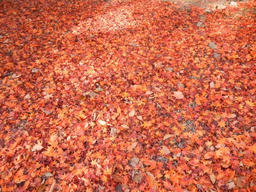 DSCN3309.jpg