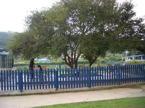 CIMG0131.JPG