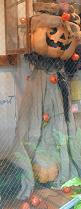 d45cc17a.JPG